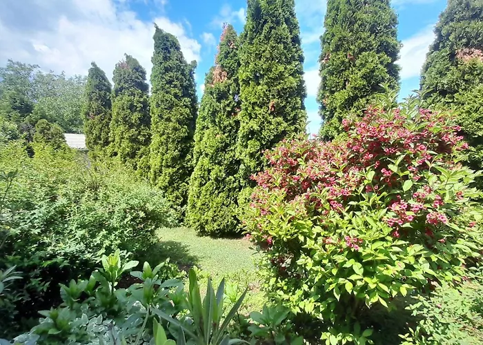 Casa vacanze Mia *